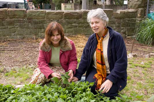 Glebe community gardeners with their patch of New Zealand spinach, an Australian bush food with a place in all community gardens