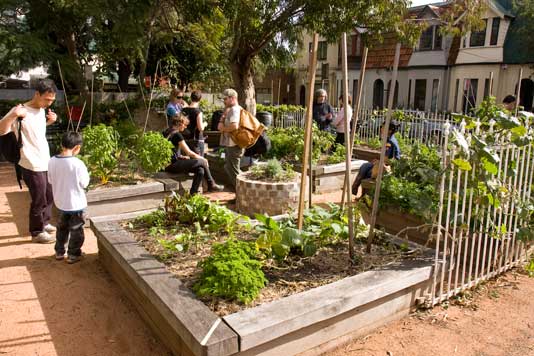 Newtown Community Garden is compact but productive.