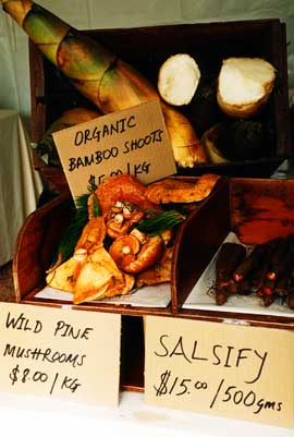 organics-shoots organics-shoots