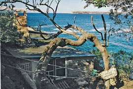 crater-huts The cliffs of the South Head of Sydney harbour are seen in this view over the stone huts at the eastern end of the Crater Cove settlement.
