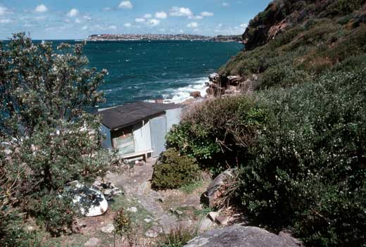 crater-men's_hut_1987 The view south over Sydney Harbour shows the Men's Hut, built in the late 1920s, in the foregraound.