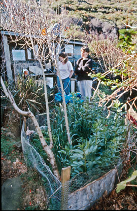 crater-simons_garden_1987 One of Simon Flynn's small vegetable gardens adjacent to his shack.