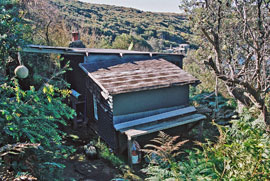 crater_hut_c Looking eastwards over shack in bush, Crater Cove.