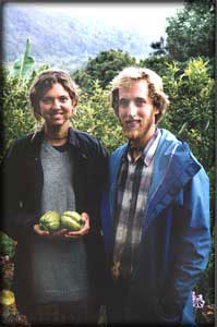 In the steep ridge country between Byron and Lismore, two WWOOFERS learn abut organic growing by doing