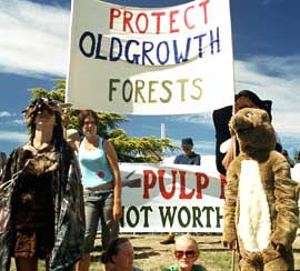 lton-mill1 Pulp mill opponents