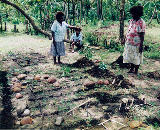 pla-model A model in which variables are marked by coconut shells and other found objects is used in planning for food production. Kastom Gaden Association, TerraCircle projects.