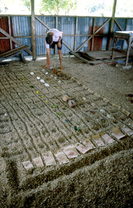 pla-takwa1 TerraCircle developmnt consultants' Tony Jansen with a planting calendar matrix at Takwa village, North Malaita, Solomon Islands. The matrix was used to identify planting and harvest times and 'hungry' times when little food was available from the bush garden.