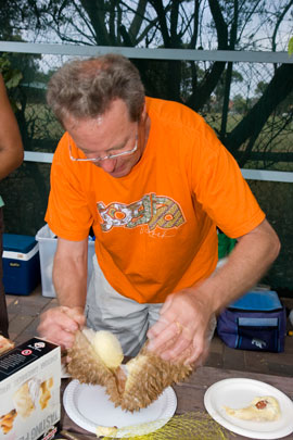 ROCG_Xmas-ddmmyy-(date)_811 Phillip Booth carefully opens a durian. Phillip, now a professional evaluator of sustainability education and other programs, once managed the Permaculture Epicente in Sydney.
