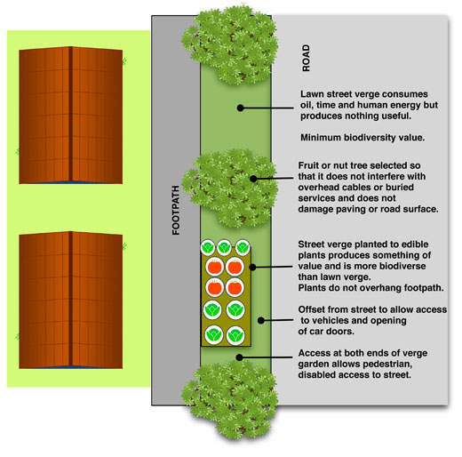 Diagram-verge-planting Diagram of a street verge planting showing proposed features.