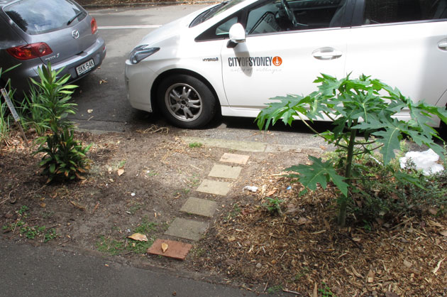 Myrtle1 Local resident, Micheal Mobbs, inspects a citrus tree growing in the street verge garden in Chippendale.