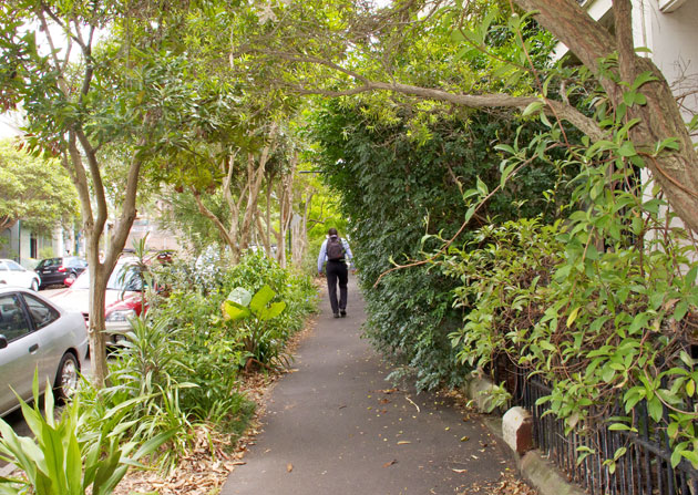 Myrtle4 Established street trees and newer verge plantings bring welcome shade to this Chippendale footpath in summer.