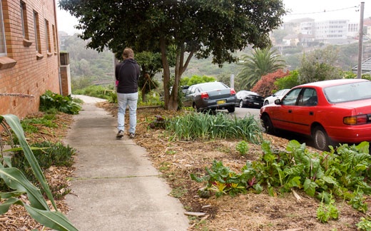 pe-verge1 The minimal plantings of this verge garden makes it somewhat unproductive. Better to garden only a small area well than a larger area poorly. Consider the time the gardeners will have available to garden at the planning stage.