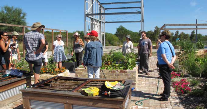 Permaculture education in local government atRandwick Sustainability Hub.