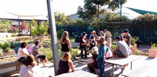 A new food growing adventure begins