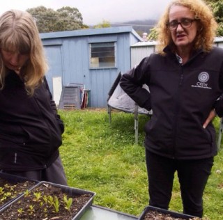 In Hobart, food in the hills