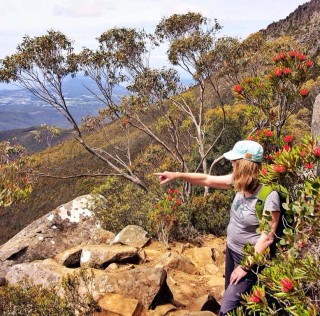 INTRODUCING: A Tasmanian journey