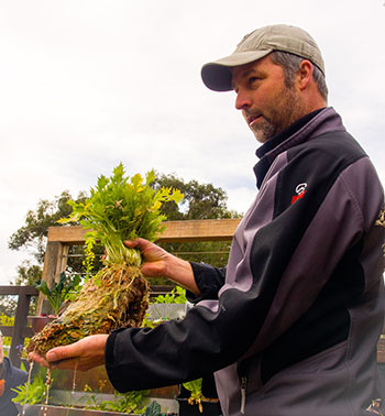 Landscape architect, Steve Batley, teaches aquaponics at Randwick’s Permaculture Interpretive Garden.