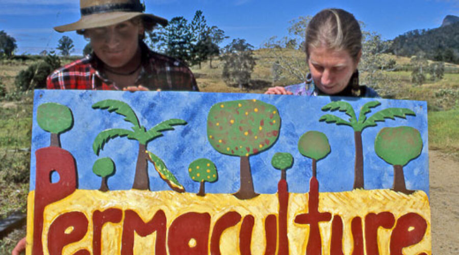 A short and incomplete history of permaculture