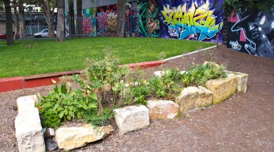 A next-to-last project: a new community garden for Woolloomooloo