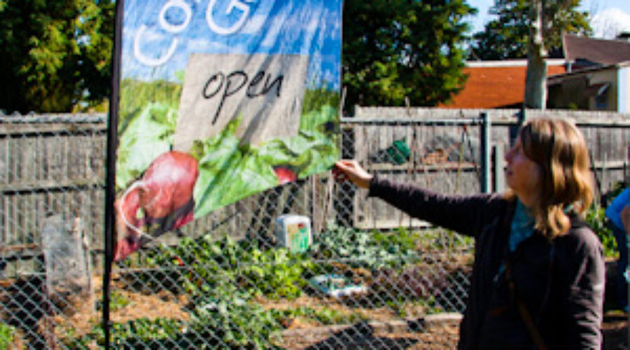 Social planning comes first in community garden design