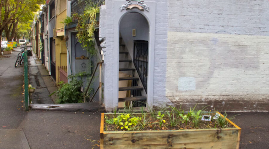 Sustainable Communities Plan for Chippendale—a submission