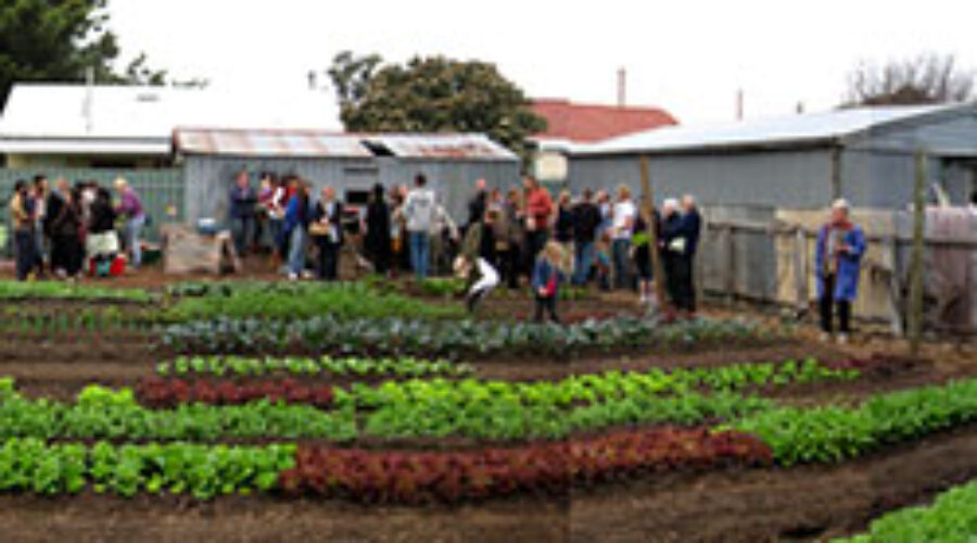 In Adelaide, a small urban farm links entrepreneurship with good food