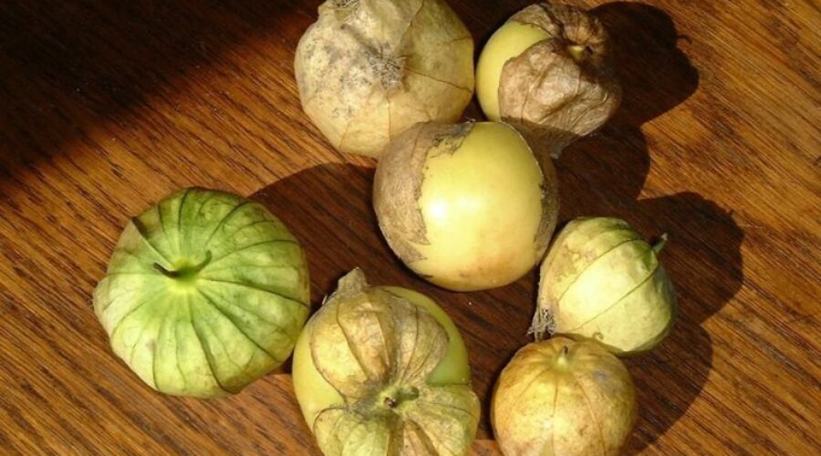 Fast fruits