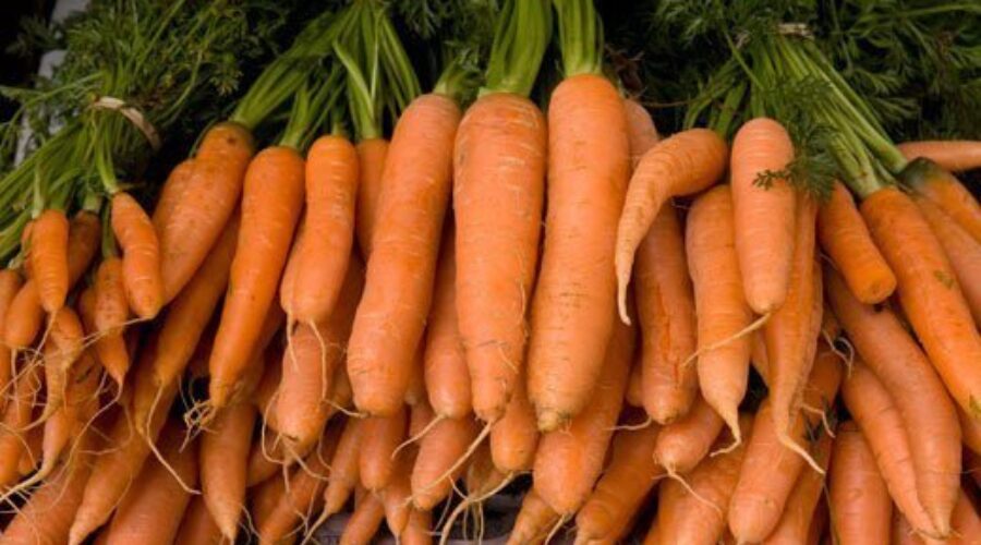 Edible roots